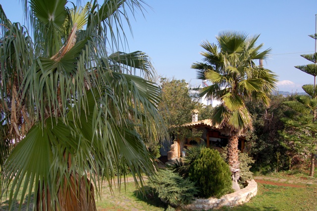 Ενοίκιο Διαμέρισμα 3άρι σε δυόροφη μονοκατοικία– (ID: Ε4339)