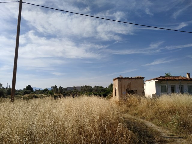 Πώληση Αγροτεμαχίου – (ID: Π3277)