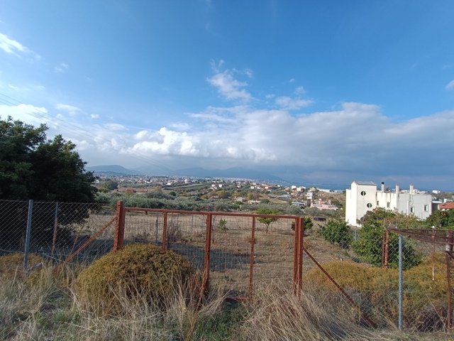 Πώληση Οικοπέδου – (ID: Π3596)